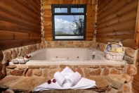 ����� ���� ������